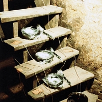 Untitled (after Meret)