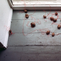 Aufstand der Kartoffeln / Potato Rebellion