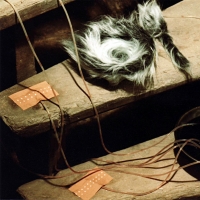 Untitled (after Meret)