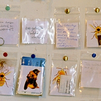 Bee Cemetery: People's Wishes